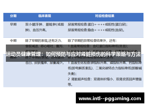 运动员健康管理：如何预防与应对肾脏损伤的科学策略与方法