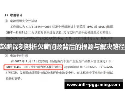 赵鹏深刻剖析欠薪问题背后的根源与解决路径