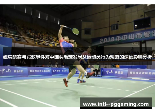 魏震禁赛与罚款事件对中国羽毛球发展及运动员行为规范的深远影响分析